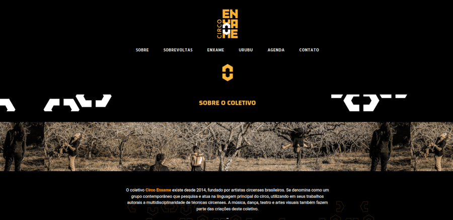 site-enxame001