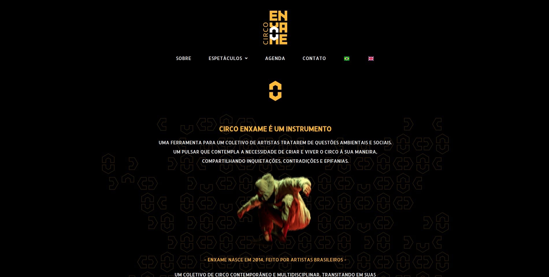site-enxame01