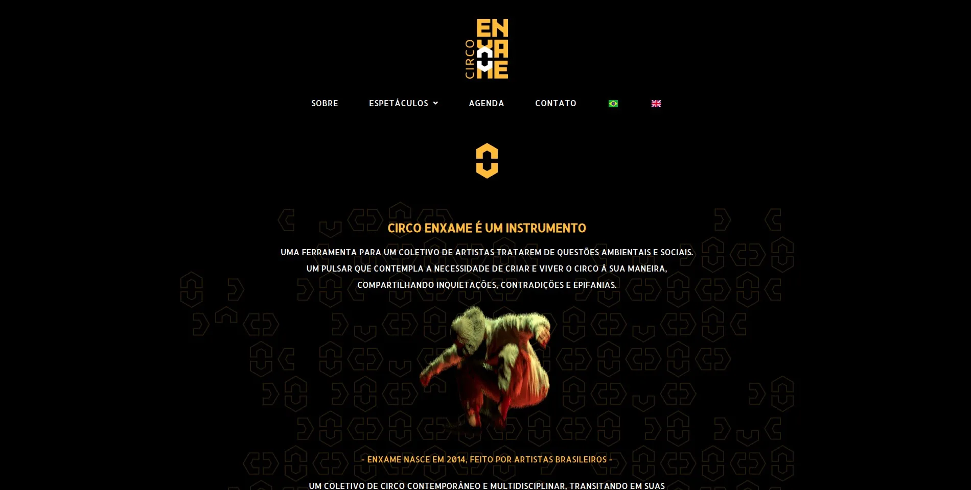 site-enxame01