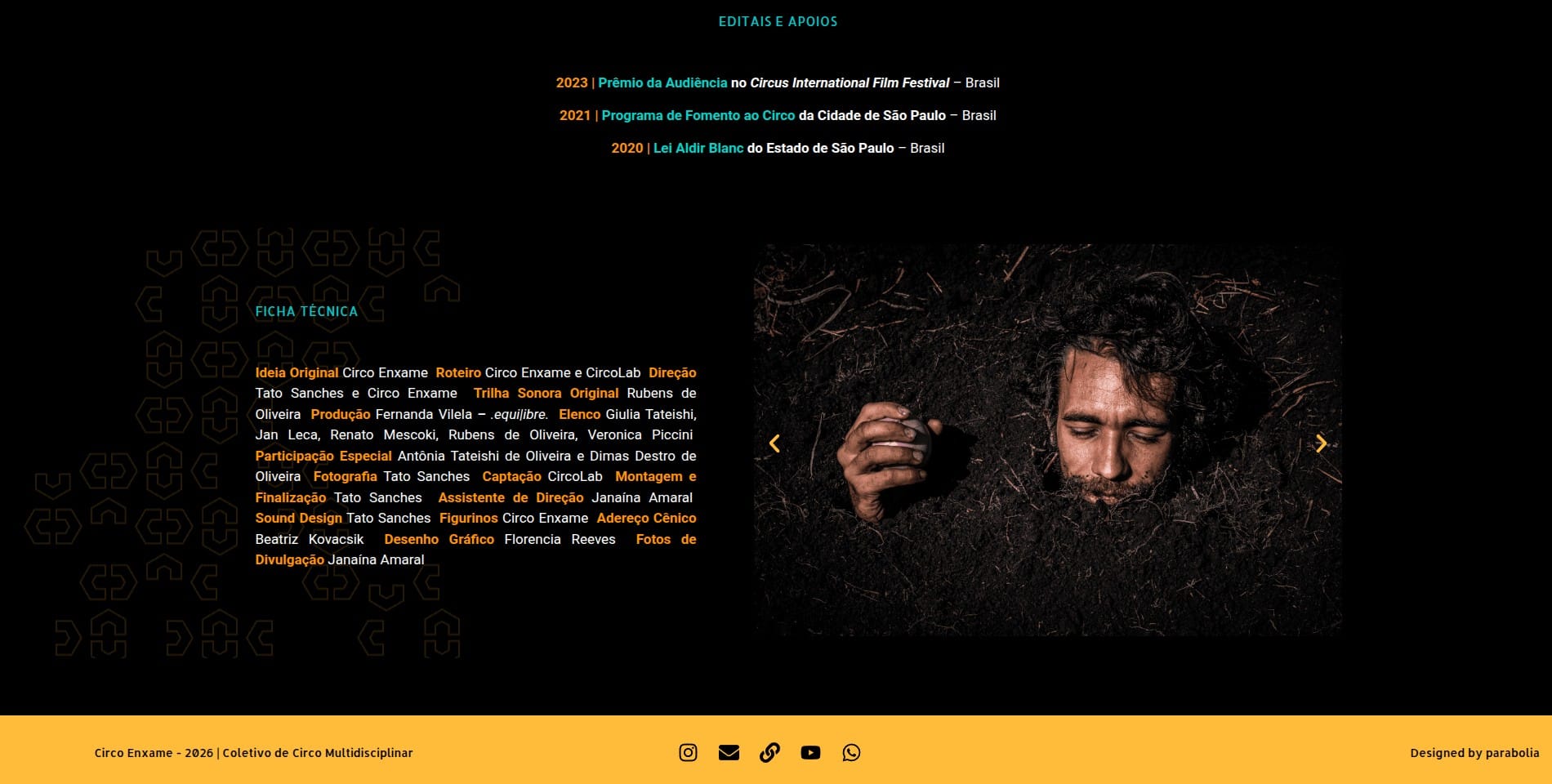 site-enxame03