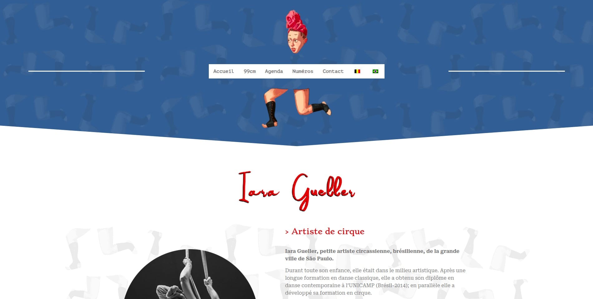 site-iara01