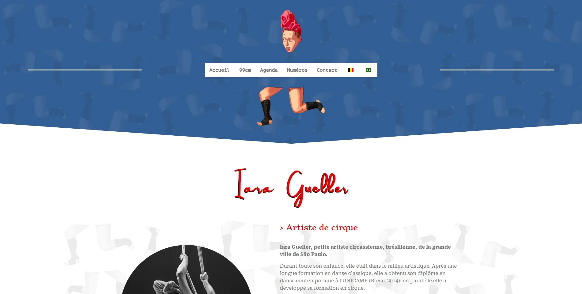site-iara01