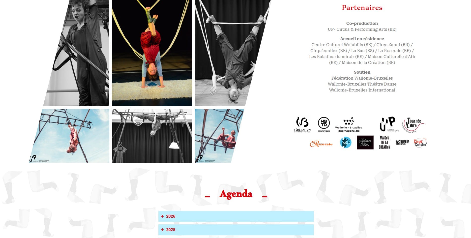 site-iara03